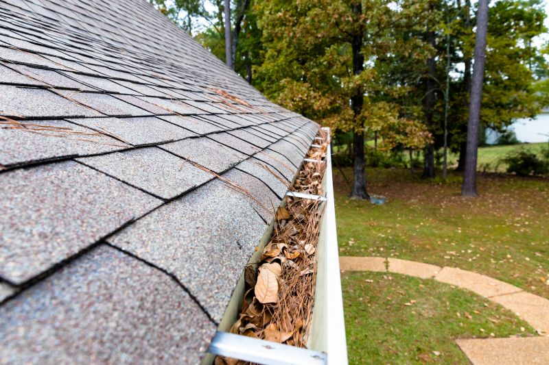 Commercial Gutter Service detail